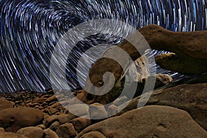 Star Trails in Joshua Tree National Park at the Arch