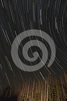 Star Trails in the night sky