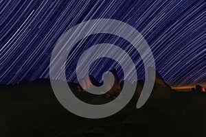 Star Trails Night Sky in Joshua Tree National Park