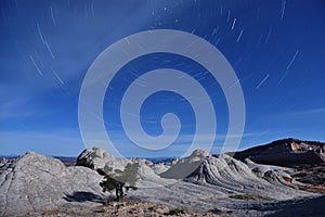 Star Trails over White Pocket, Paria Canyon-Vermilion Cliffs photo