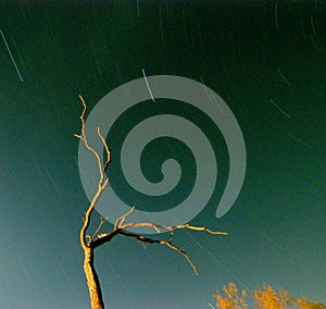 Star Trails Palo Duro Canyon State Park, Texas