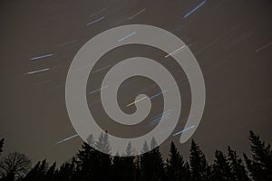 Star trails in the sky above the trees