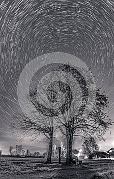 Star trails in a winter sky and circles over a lonely tree in a starry night, monochrome astro photo.