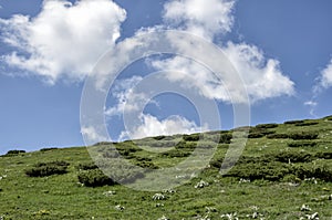 Stara Planina mountain