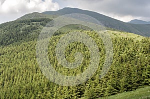 Stara Planina mountain