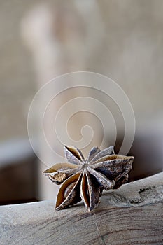 A staranise fruit, close-up