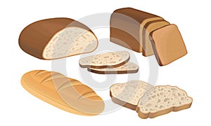 Starchy Foods or Baked Goods with Loaf of Bread Vector Set photo