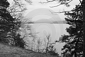 Stare Splavy, Czechia - March 06, 2023: landscape with Machovo jezero lake