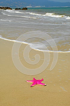 Starfish