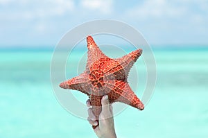 Starfish