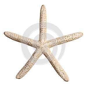 Starfish