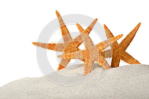 Starfish