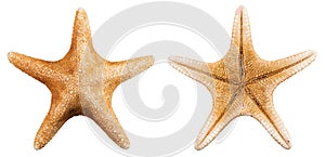 Starfish