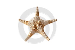 Starfish