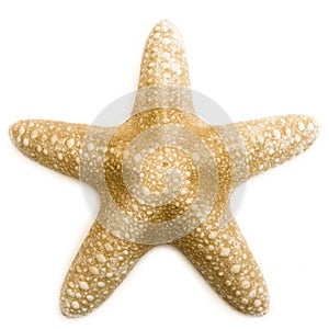 Starfish