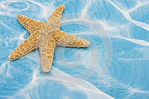 Starfish