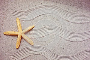 Starfish