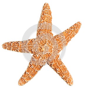 Starfish