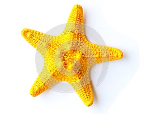 Starfish