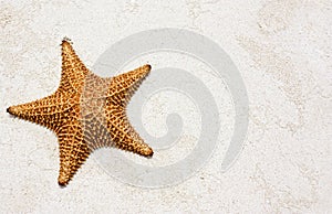 Starfish