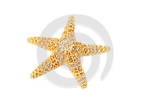 Starfish