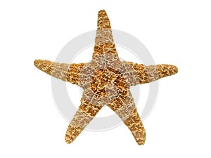 Starfish