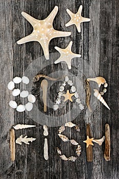 Starfish Abstract Background on Rustic Wood