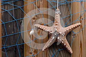 Starfish background with sea star and blue net on weathered timber planks, design and decoration