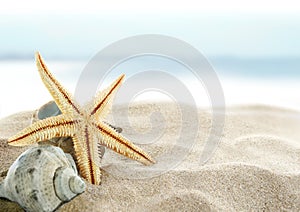 Starfish on the Beach