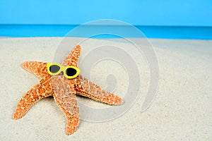 Starfish on the Beach