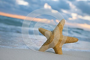 Starfish on beach, blue sea and sunrise