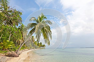 Starfish beach, Bocas del Toro, Panama photo