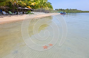 Starfish beach, Bocas del Toro, Panama photo