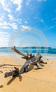 Starfish Beach panama.