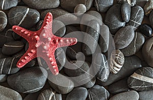 Starfish on beach pebbles background