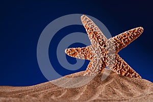 Starfish on a beach sand with dark blue background