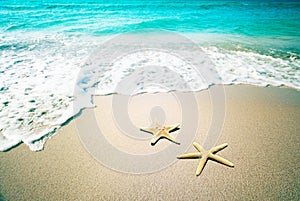 Starfish on a beach sand. Vintage retro style