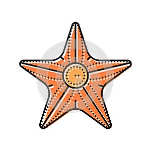 starfish beach summer color icon vector illustration