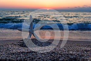 Starfish on the beach at sunset