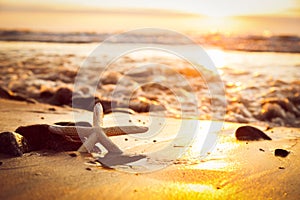 Starfish on the beach at sunset. Sun shining on the sea