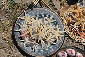 Starfish - Behramkale, Assos, Aegean villages