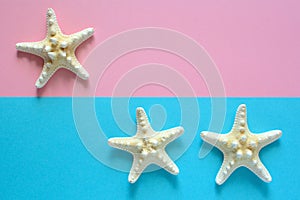 Starfish on the blue-pink background
