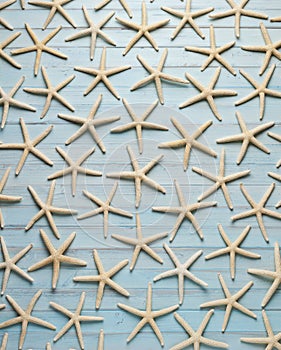 Starfish Blue Wood Background