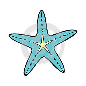 Starfish blue yellow doodle drawing, isolated on white background.