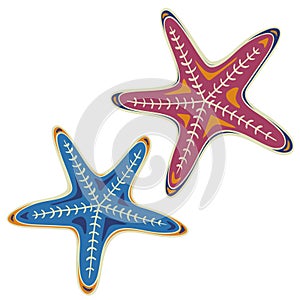 Starfish in cartoon style. Set. Marine icon. Summer vector illustration.