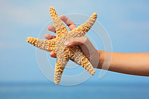 Starfish in child's hand. focus on wrist