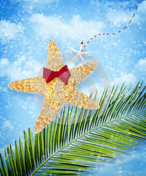 Starfish Christmas decoration