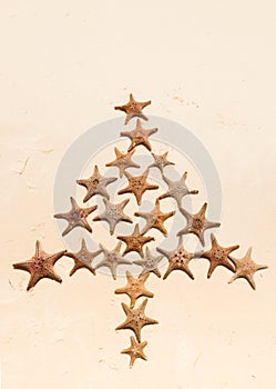 Starfish christmas tree