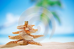 Starfish christmas tree on beach with seascape background