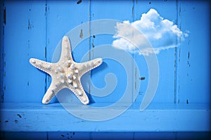 Starfish Cloud Blue Background